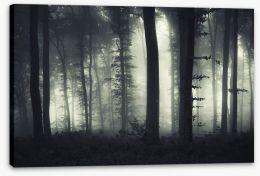 Forests Stretched Canvas 70383685