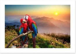 Mountain Macaw Art Print 70421510