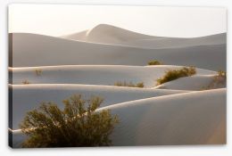 Desert Stretched Canvas 70480119