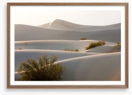 Desert Framed Art Print 70480119