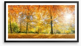 Sunlight in the Autumn forest Framed Art Print 70578437