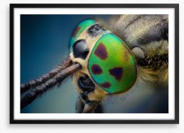 Insects Framed Art Print 70589872