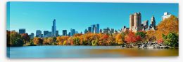 Central Park in Autumn Stretched Canvas 70676089