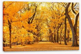 Fall in Central Park Stretched Canvas 70687663