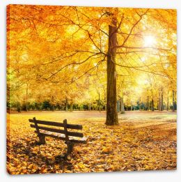 Autumn Stretched Canvas 70729912