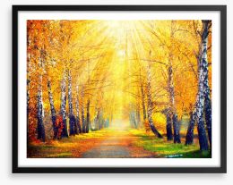 Golden sunbeam path Framed Art Print 70760699