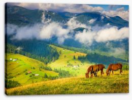 Mountains Stretched Canvas 70799255