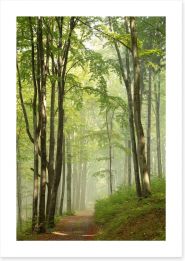 Forests Art Print 71090184