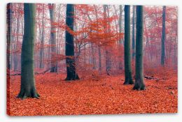 Misty Autumn forest Stretched Canvas 71244918