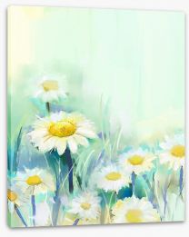 Fresh as a daisy Stretched Canvas 71260088