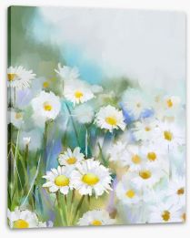 Daisy days Stretched Canvas 71261857