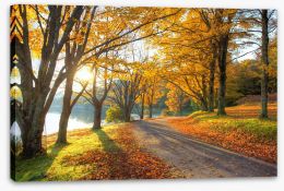 Path to the Autumn lake Stretched Canvas 71598827