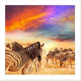 Serengeti sunset Art Print 71698875