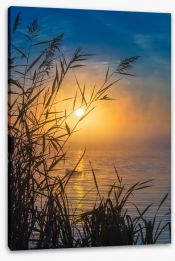 Sunrise through the reeds Stretched Canvas 71700379