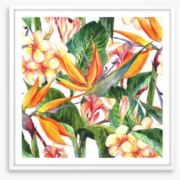 Exotic hibiscus leaves Framed Art Print 71850727