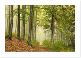 Forests Art Print 71883749