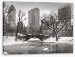 Central Park glacé Stretched Canvas 72060014