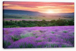 Meadows Stretched Canvas 72181066