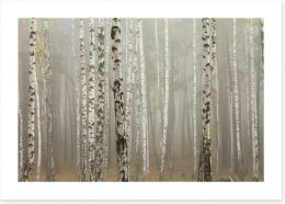 Foggy birch forest Art Print 73107008
