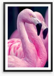 Pink flamingo pair Framed Art Print 73127657