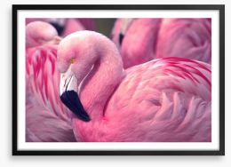 The pink flamingo Framed Art Print 73127660