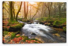 Rivers Stretched Canvas 73524438