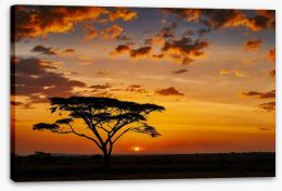 Savanna sunset silhouettes Stretched Canvas 73635116