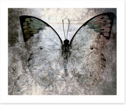 Vintage monarch butterfly Art Print 73878760