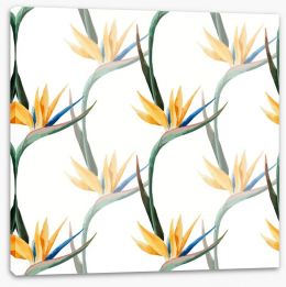 Birds of paradise Stretched Canvas 73937072