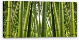Bamboo jungle Stretched Canvas 73983878