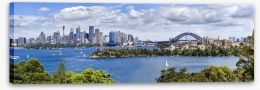 Sydney harbour panorama Stretched Canvas 74471213