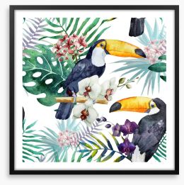 Tropical toucan Framed Art Print 75057977