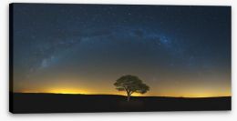 Lone tree under the Milky Way Stretched Canvas 75253440