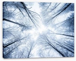 Forests Stretched Canvas 75482959