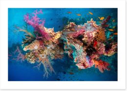 Net fire corals Art Print 75647640