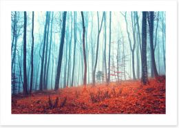 Forests Art Print 75962060