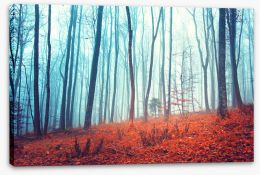 Forests Stretched Canvas 75962060