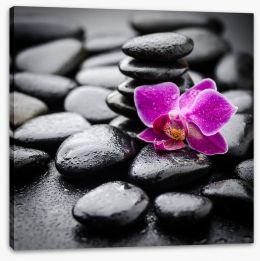 Orchid dew Stretched Canvas 75999711