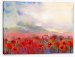 Poppies in the mist Stretched Canvas 76007480