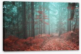 Forests Stretched Canvas 76122115