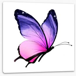Beautiful butterfly Stretched Canvas 76212400