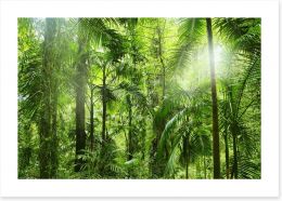 Forests Art Print 76217254