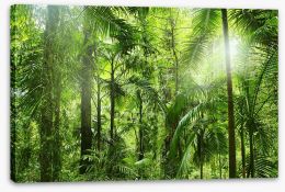 Forests Stretched Canvas 76217254