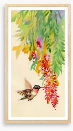 Hummingbird flutter Framed Art Print 76448440