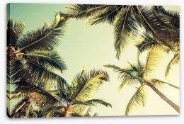 Coconut palms Stretched Canvas 77063633