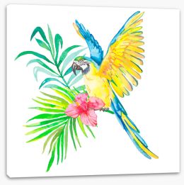 Birds Stretched Canvas 77535857