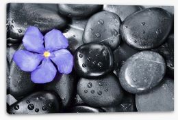 Violet oleander Stretched Canvas 77993005