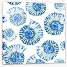 Nautical shells Stretched Canvas 77993272