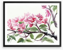 Cherry blossom Framed Art Print 78064942