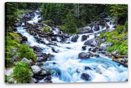 Pristine forest river Stretched Canvas 78122338